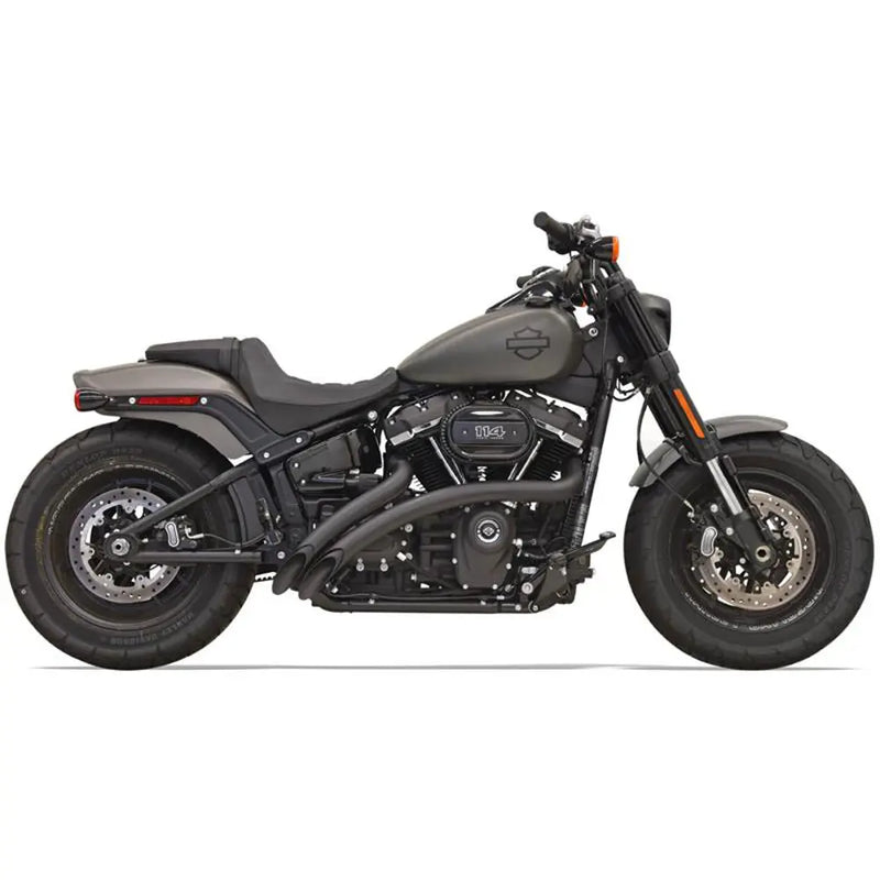 Bassani Sweeper Radial Avgassystem till Harley