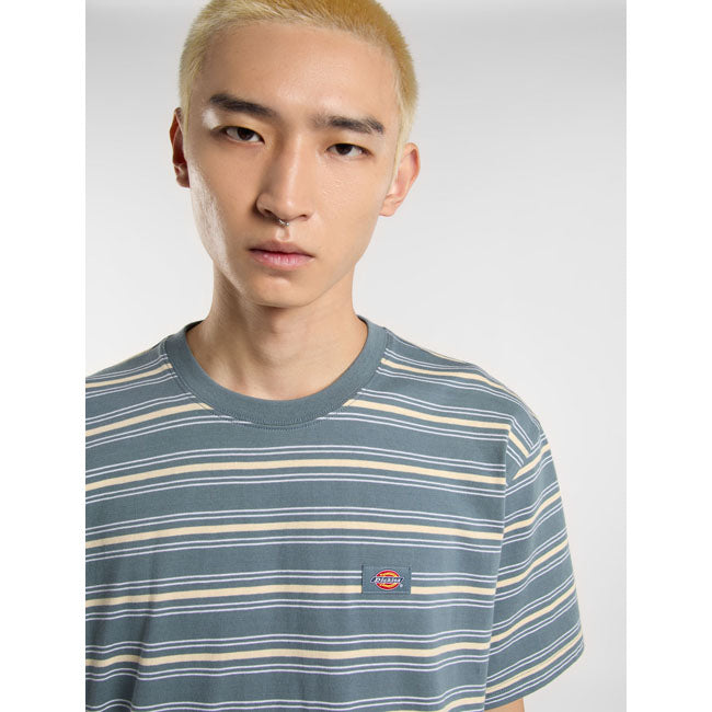 Dickies Lewistown Stripe T-Shirt