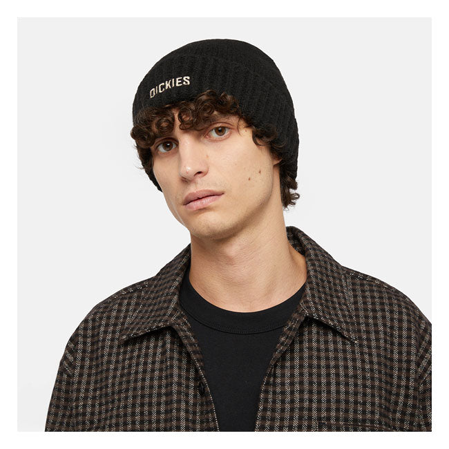 Dickies Harlowtown Mössa