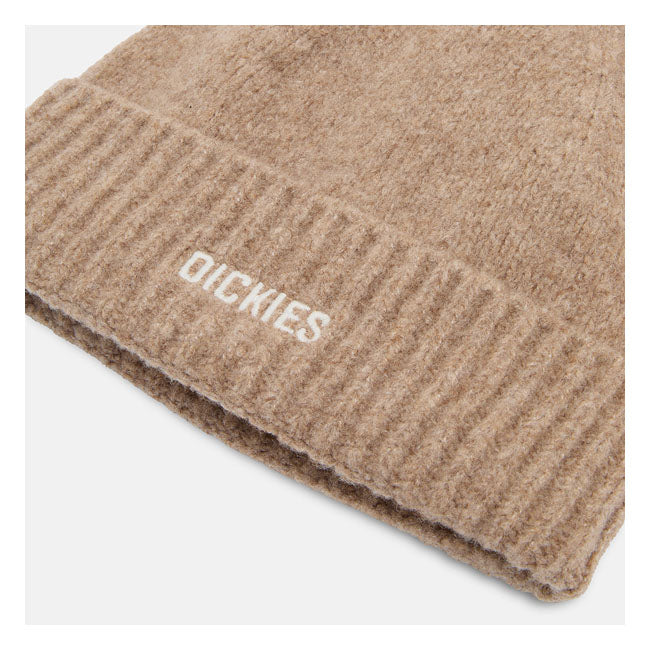 Dickies Harlowtown Mössa