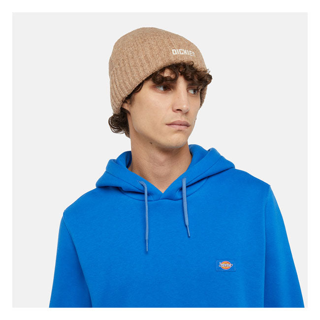 Dickies Harlowtown Mössa