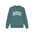 Dickies Aitkin Sweatshirt Green / S