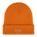 Dickies Gibsland Beanie Autumn Maple  - Customhoj