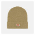 Dickies Gibsland Beanie Imperial Green  - Customhoj