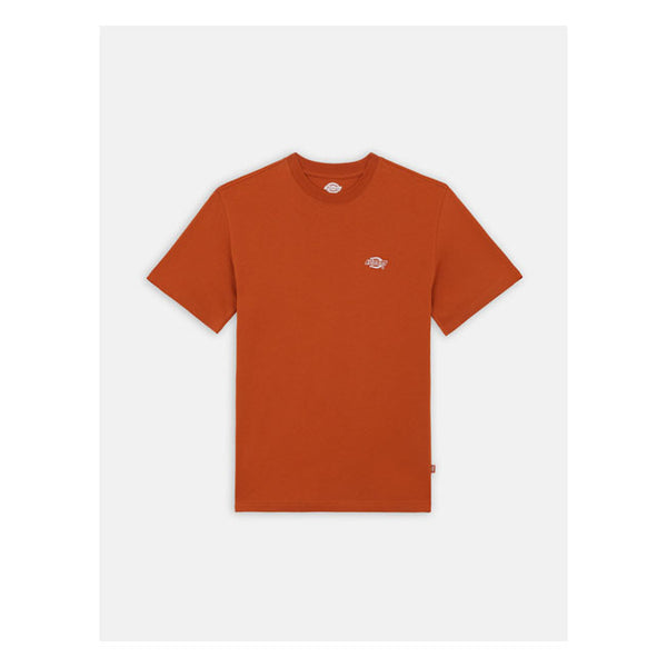 Dickies Summerdale T-Shirt Bombay Brown / S