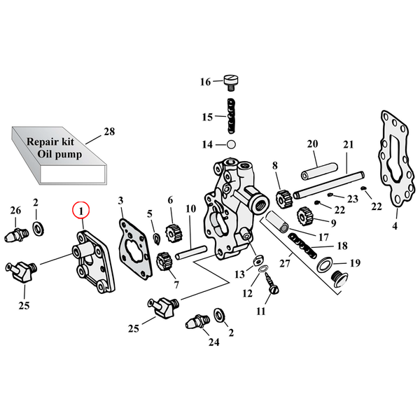Oil Pump Parts Diagram Exploded View for Harley Knuckle / Pan / Shovel 1) 50-64 Big Twin Pump cover. Replaces OEM: 26237-50A