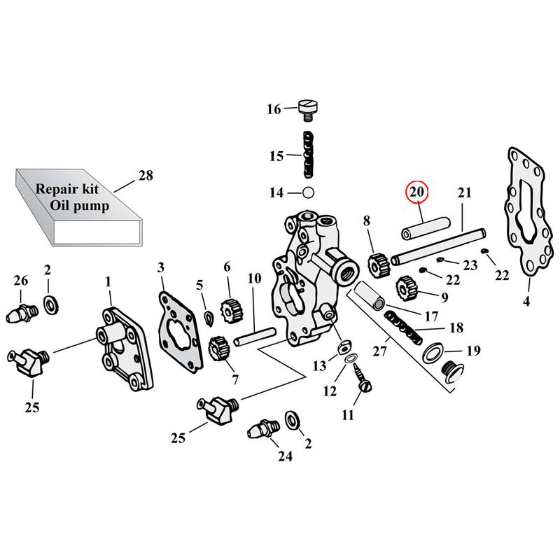 Oil Pump Parts Diagram Exploded View for Harley Knuckle / Pan / Shovel 20) 36-99 Big Twin. Bushing, oil pump drive shaft. Replaces OEM: 24641-36