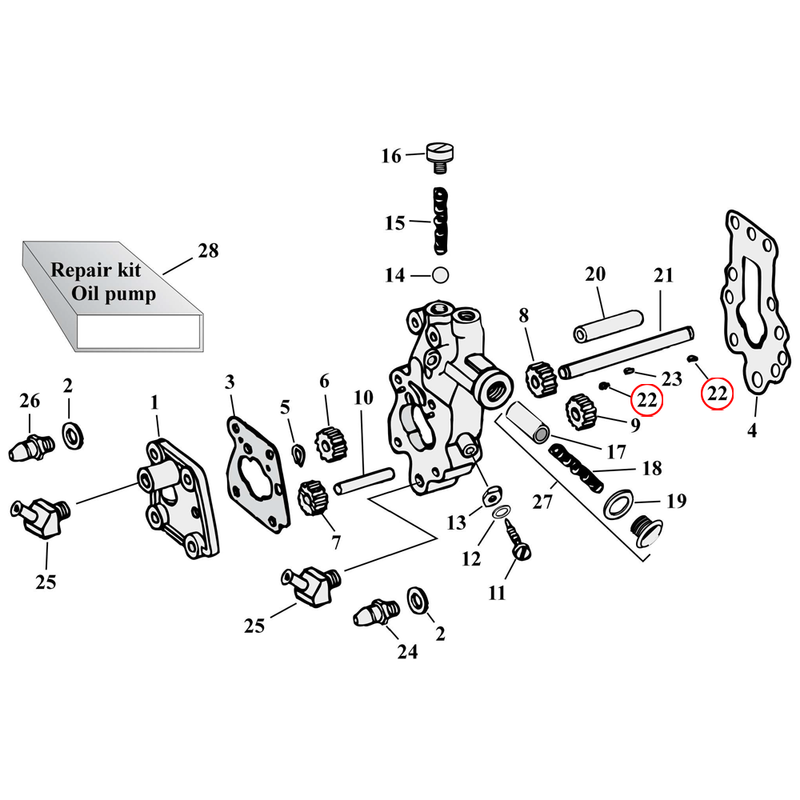 Oil Pump Parts Diagram Exploded View for Harley Knuckle / Pan / Shovel 22) 41-99 Big Twin. Woodruff key. Replaces OEM: 26348-15
