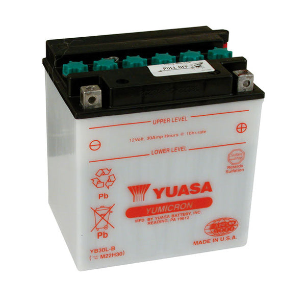 YUASA Batteri Bly Yuasa Yumicron 12V Blybatteri. 30Ah Customhoj